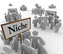Grouping audiences by niche